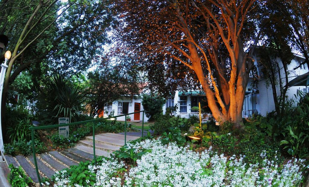 Garden Place Guest Houses Йоганнесбурґ Номер фото