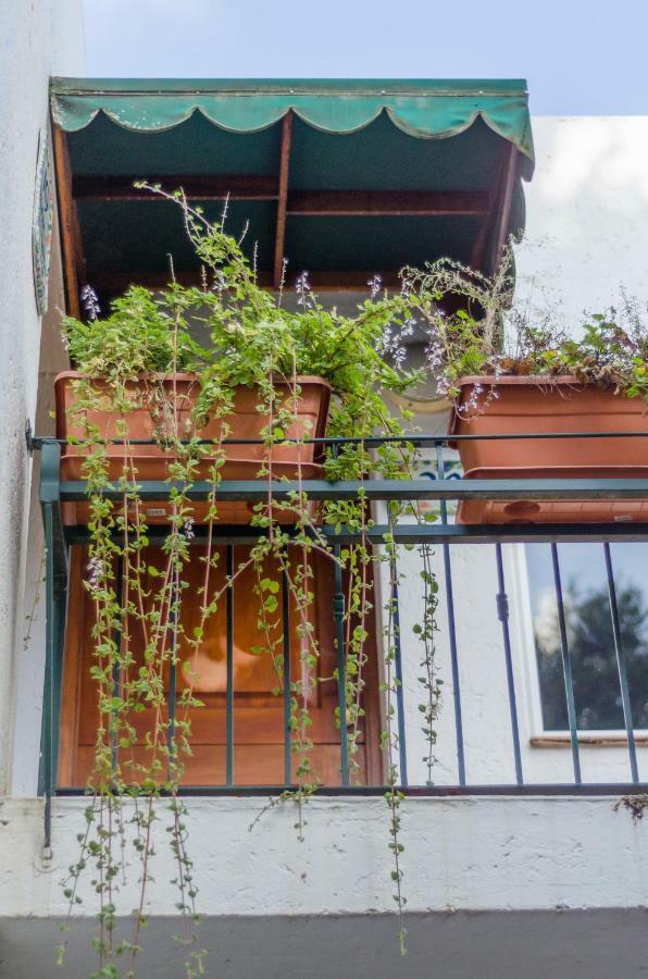 Garden Place Guest Houses Йоганнесбурґ Екстер'єр фото